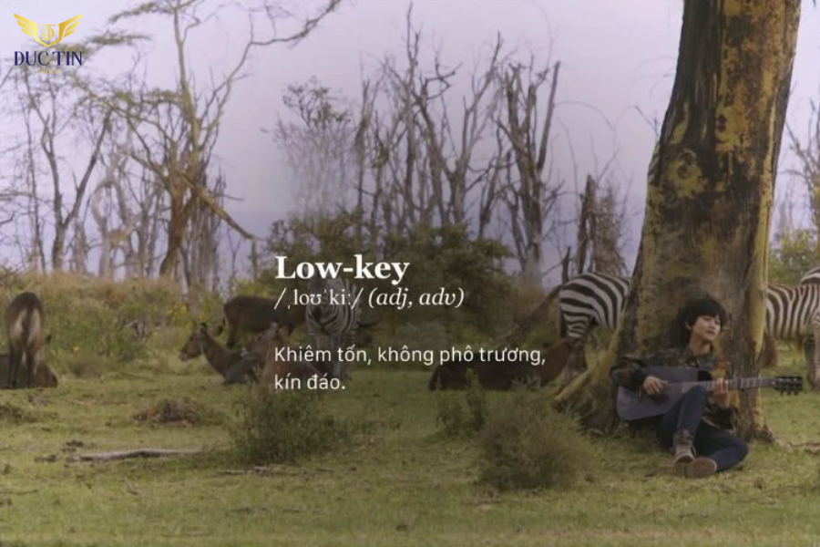 Lowkey là gì? Lowkey chỉ sự khiêm tốn,  kín đáo và không phô trương